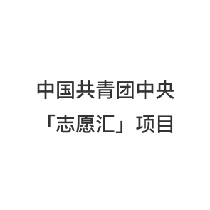 中国共青团中央「志愿汇」项目